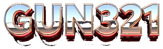 gun321 logo